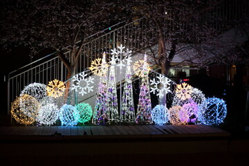 シキザクラとクリスマスのイルミネーション