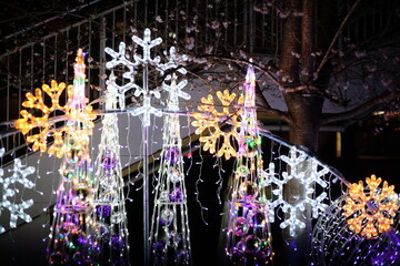 クリスマスのイルミネーションと四季桜