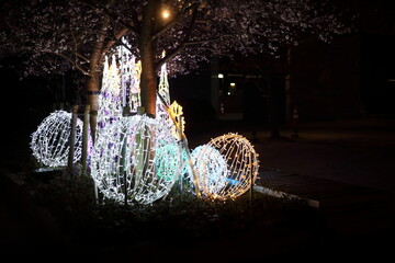 四季桜の下のイルミネーション