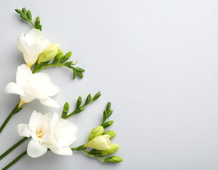 Fresh white flowers on light gray background