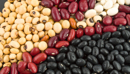 A vibrant collection of assorted dried beans, showcasing kidney, black, pinto, and white beans.