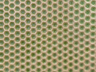 Close up of 3d hexagonal or honeycomb shape porcelain tiles in green color. Suitable for pottery, tiles, and porcelain. Seamless background texture.