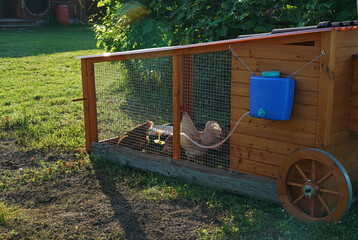 beautiful wooden chicken coop house in the garden © Taborisova