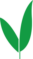Bamboo Sugarcane icon. Design elements for social network and application. on transparent background.Sugarcane stalks vector illustration of fresh sugarcane plants for agriculture.