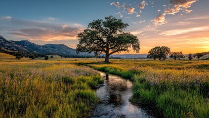 Pastoral landscape with tree stream and mountains at sunset