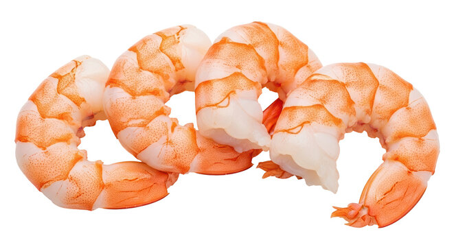 Isolated Cooked Shrimp