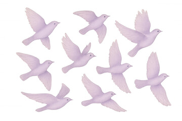 Purple doves flying with outstretched wings, representing peace, freedom, hope against clean white backdrop