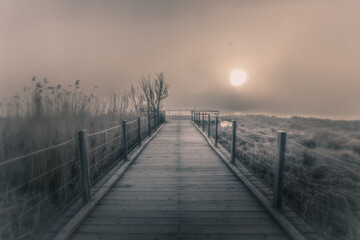 Sunrise over wooden boardwalk in winter marshland
