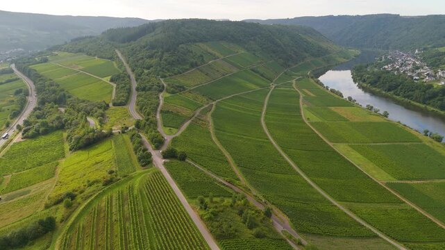 Zeller Hamm, Petersberg, aerial panorama view over Moselle valley, vineyards, mountain range of Eifel and Hunsrueck, Mosel river loop near Zell, Germany