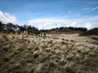 Savanna Mount Lawu, Central Java Indonesia