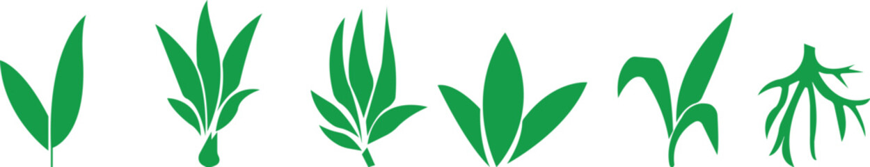 Bamboo Sugarcane icon set. Design elements for social network and application. on transparent background.Sugarcane stalks vector illustration of fresh sugarcane plants for agriculture.