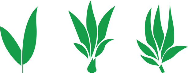 Bamboo Sugarcane icon set. Design elements for social network and application. on transparent background.Sugarcane stalks vector illustration of fresh sugarcane plants for agriculture.