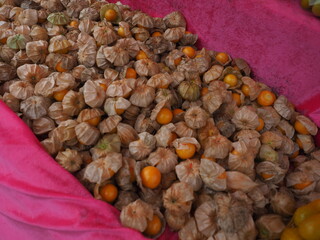 Freshly harvested gooseberries from Thai highlands