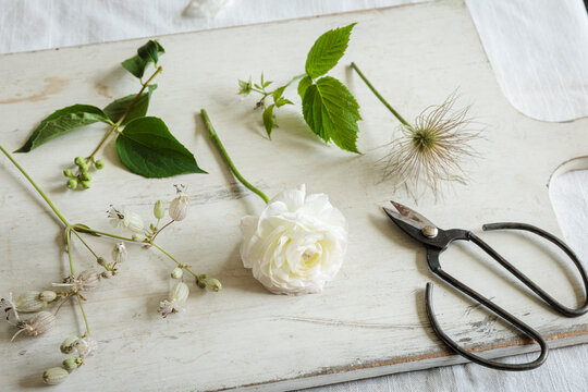Floral arrangement with scissors on white board