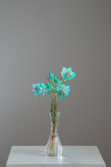 白い部屋に置かれたセルリア