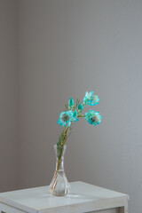 白い部屋に置かれたセルリア