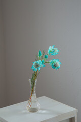 白い部屋に置かれたセルリア