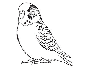 BUDGIE BIRD SILHOUETTE 
