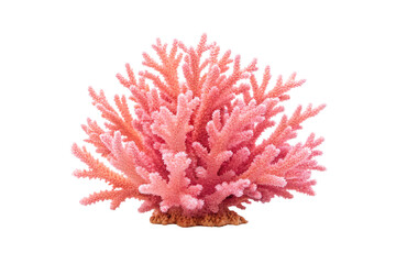 Naklejka premium Detailed pink coral specimen displaying complex branching patterns and natural oceanic texture formations, isolated on a transparent background