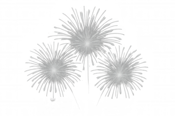 Festive white fireworks exploding against a transparent background, perfect for celebrations and special occasions
