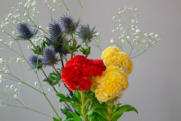 白い部屋に置かれたケイトウとエリンジウムとカスミソウ