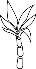 Bamboo Sugarcane line art icon. Design elements for social network and application. on transparent background.Sugarcane stalks vector illustration of fresh sugarcane plants for agriculture.