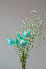 白い部屋に置かれたセルリアとカスミソウ