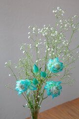 白い部屋に置かれたセルリアとカスミソウ