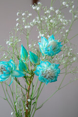 白い部屋に置かれたセルリアとカスミソウ