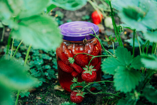 Jar of strawberry preserves in a strawberry patch outdoors