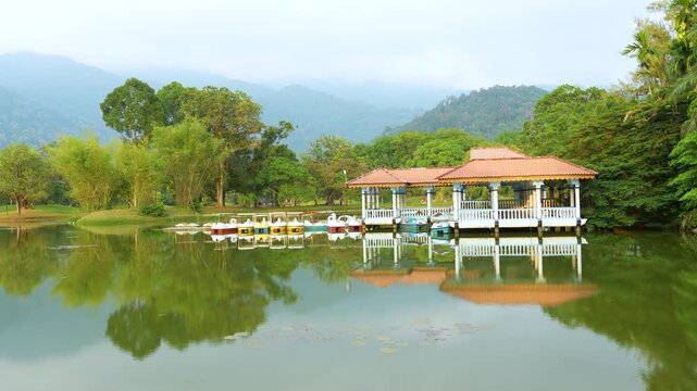 Taiping lake gardens: tranquil reflections in perak, malaysia