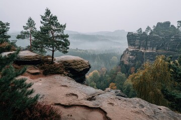 Misty mountaintop vista, rocky outcrop, autumn trees