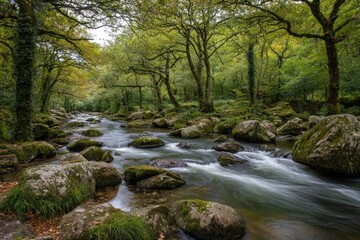 Tranquil river flowing through mossy woodland