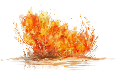 Spiritual Scene Showing the Burning Bush Where God Spoke to Moses Isolated on Transparent Background