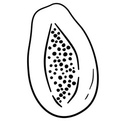 doodle papaya line art illustration