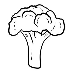 doodle broccoli line art illustration