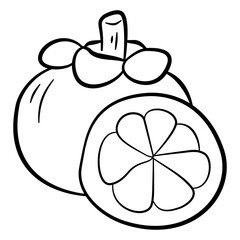 doodle mangosteen line art illustration