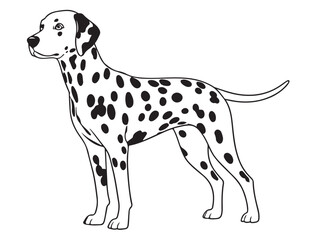DALMATIAN SPOT DOG SILHOUETTE