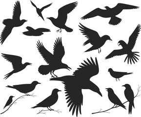 bird, silhouette, flying, perched, crow, raven, flock, black, nature, wildlife, wings, flight, perched branch, animal, vector, illustration, isolated, group, beak, feather