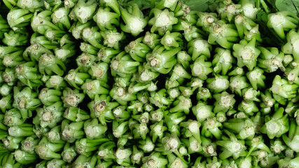 Closeup Of Fresh Green Vegetables Buds
