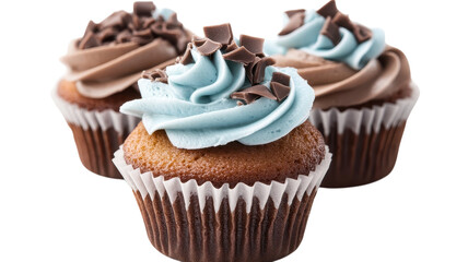 These beautifully decorated cupcakes feature a blend of chocolate and light blue frosting, ideal for parties or events