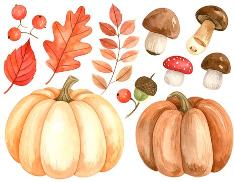 Watercolor autumn harvest still life featuring pumpkins, mushrooms, berries, acorns, and fall leaves
