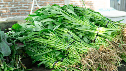 Fresh Green Vegetables Bundle