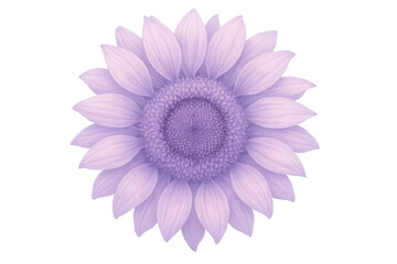Fototapeta premium Illustration of a purple sunflower blooming on a transparent background, perfect for nature-themed projects