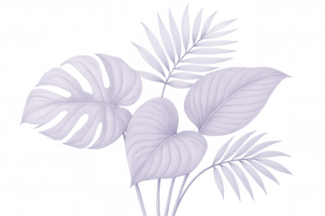 Pristine white tropical foliage arranged symmetrically, evoking serene summer vibes against transparent backdrop