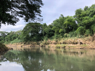 high water marks on the riverbank indicate the level reached during the recent flood.