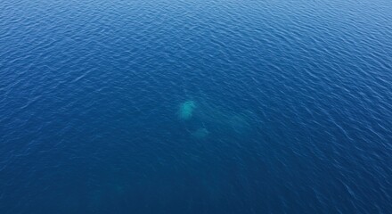 Aerial View of Calm Blue Ocean Water