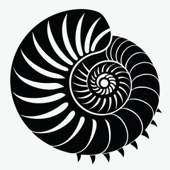 Obraz premium Photo of black and white nautilus shell spiral pattern isolated on white background