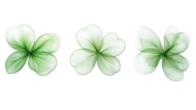 A collection of three elegant flowers displayed with intricate green petal designs against a plain background