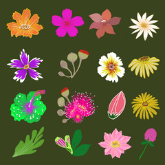 seamless pattern with flowers